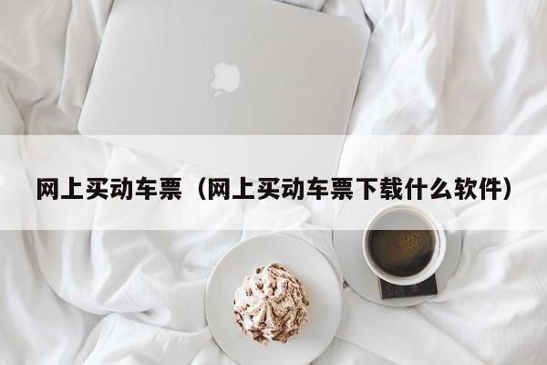 网上买动车票（网上买动车票下载什么软件）