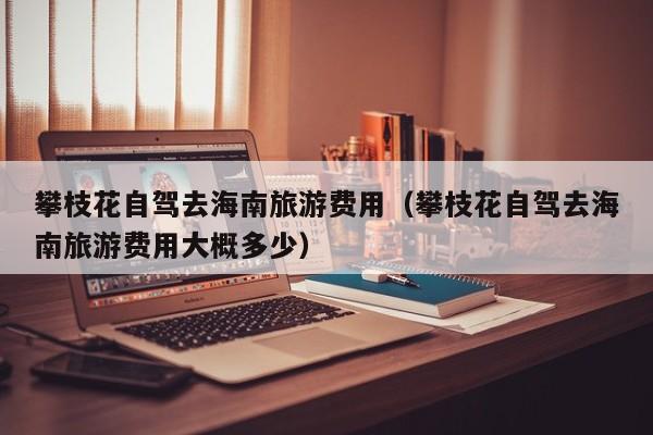 攀枝花自驾去海南旅游费用（攀枝花自驾去海南旅游费用大概多少）