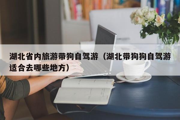 湖北省内旅游带狗自驾游（湖北带狗狗自驾游适合去哪些地方）