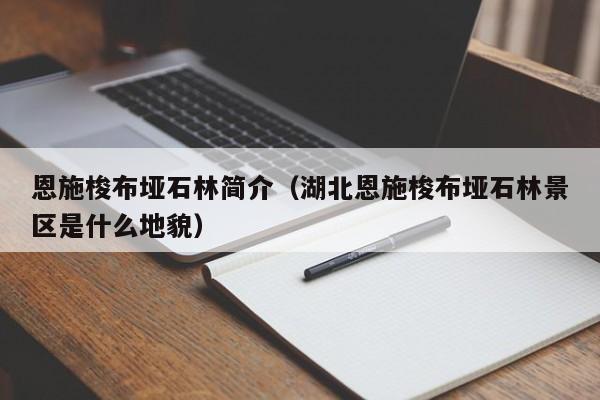 恩施梭布垭石林简介（湖北恩施梭布垭石林景区是什么地貌）