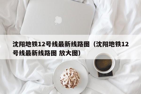沈阳地铁12号线最新线路图（沈阳地铁12号线最新线路图 放大图）