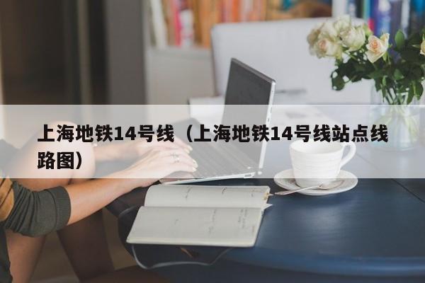 上海地铁14号线（上海地铁14号线站点线路图）