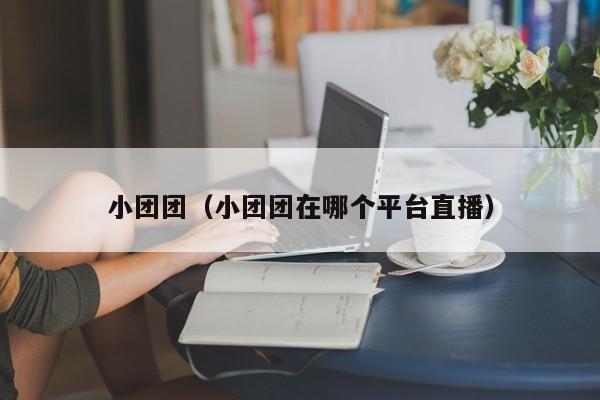 小团团（小团团在哪个平台直播）  第1张