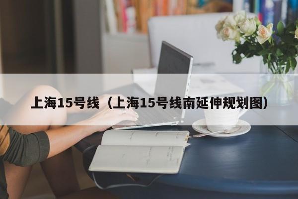 上海15号线（上海15号线南延伸规划图）